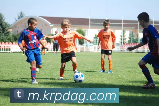 App Interface Preview