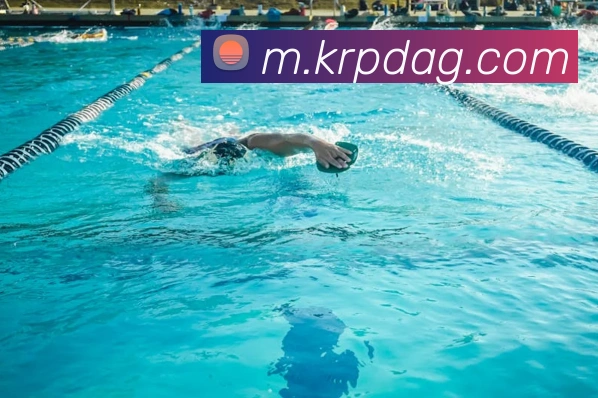 ag官网APP 封面图